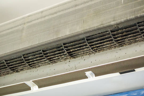 Best HVAC Air Duct Cleaning  in Huntertown, IN